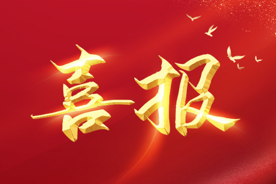 喜报 | 555000jc1线路检测荣登2024粤港澳大湾区企业创新力榜单